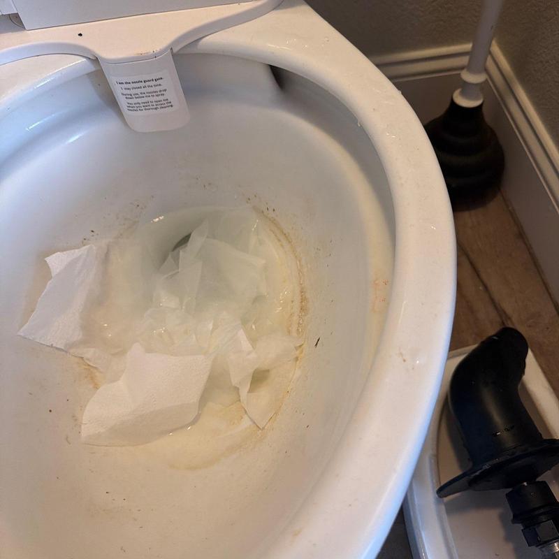 Toilet bowl clogged with paper and plunger nearby