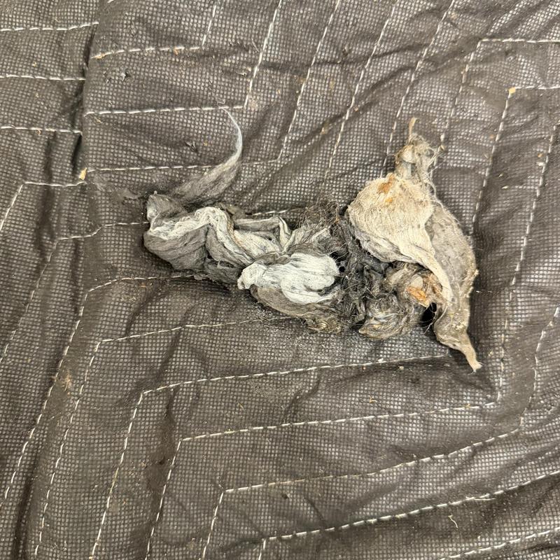 Main line clog debris removed on protective mat Main line clog debris removed on protective mat