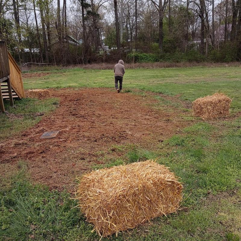City sewer tap excavation site with straw bales