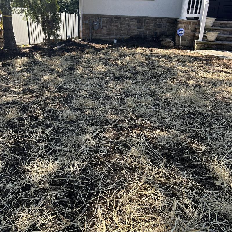 Exterior sewer line area with fresh soil and straw mulch Exterior sewer line area with fresh soil and straw mulch