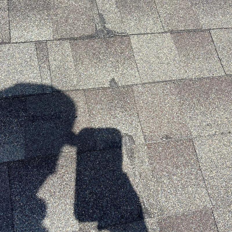 Shingle roof with worn and damaged granules