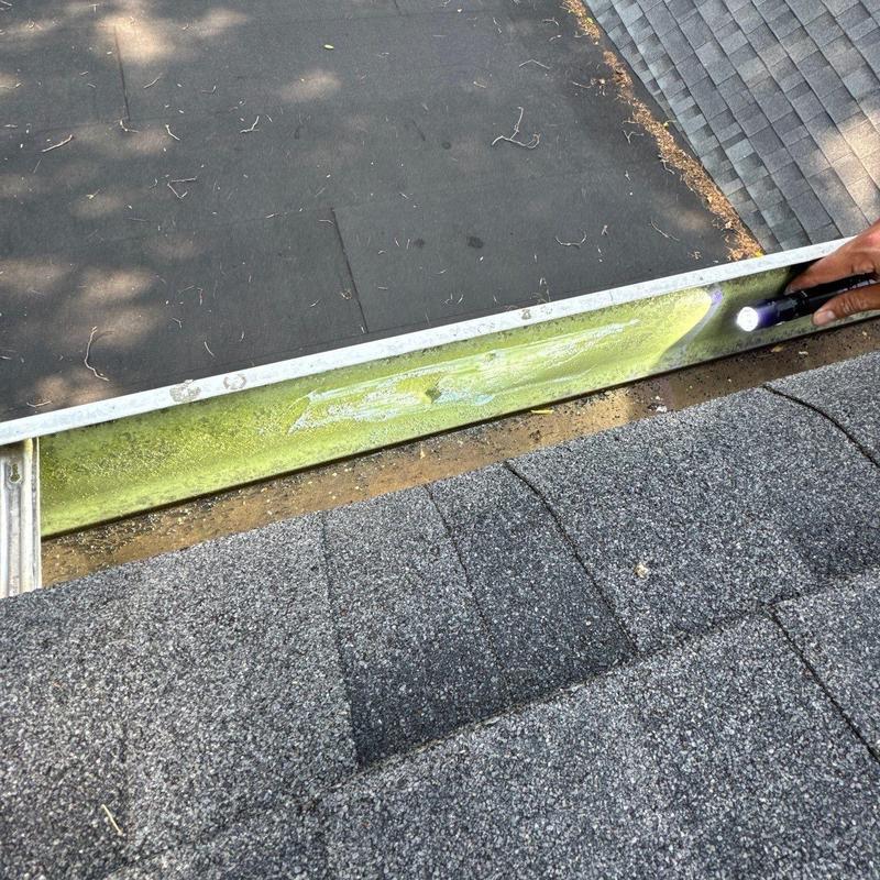 Roof gutter inspection showing algae buildup and debris removal