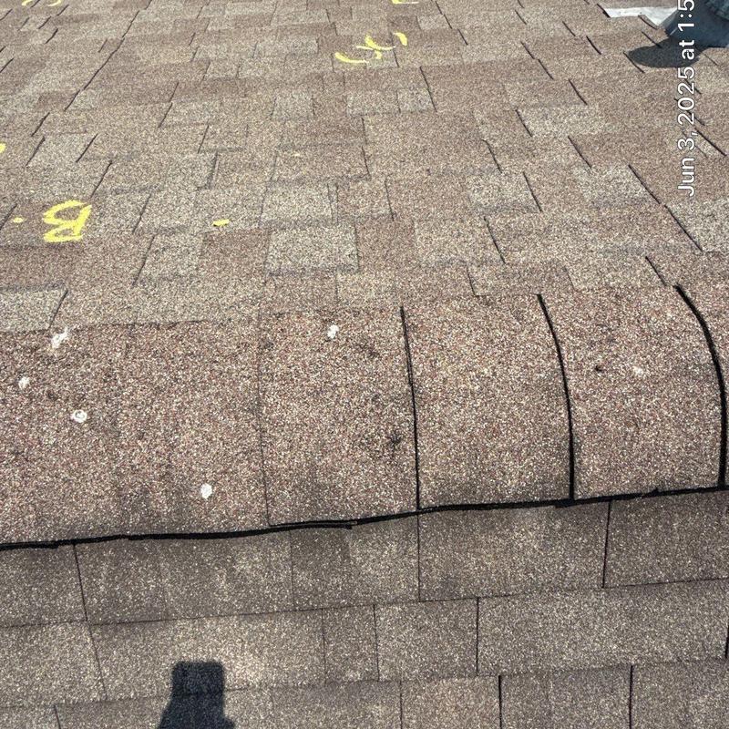Asphalt roof shingles with hail damage markings