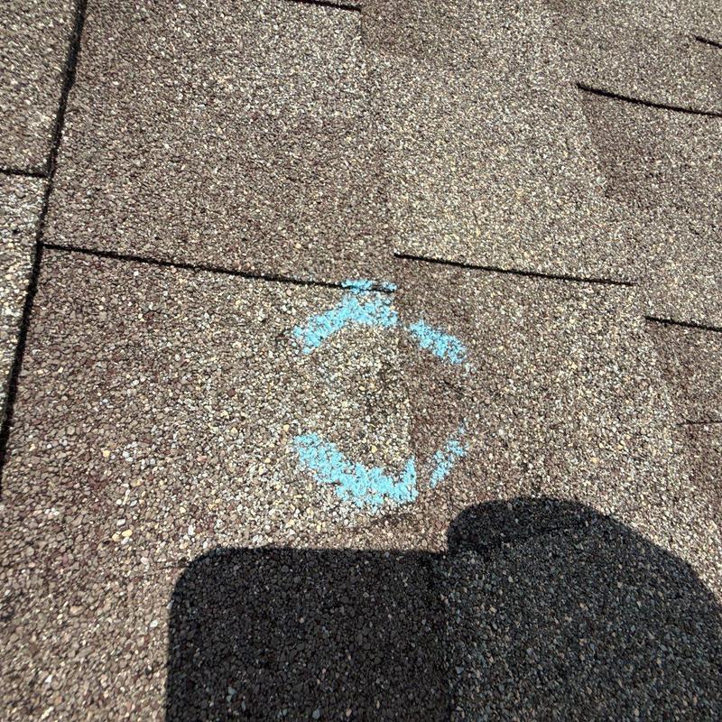 Asphalt shingle roof with hail damage marked in blue