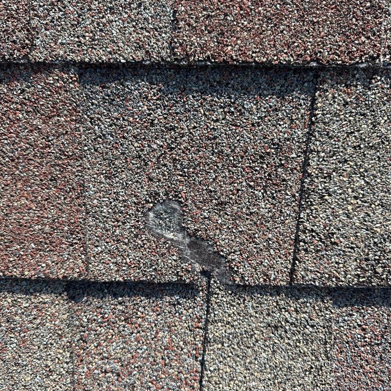 Asphalt shingle with visible hail impact damage close-up