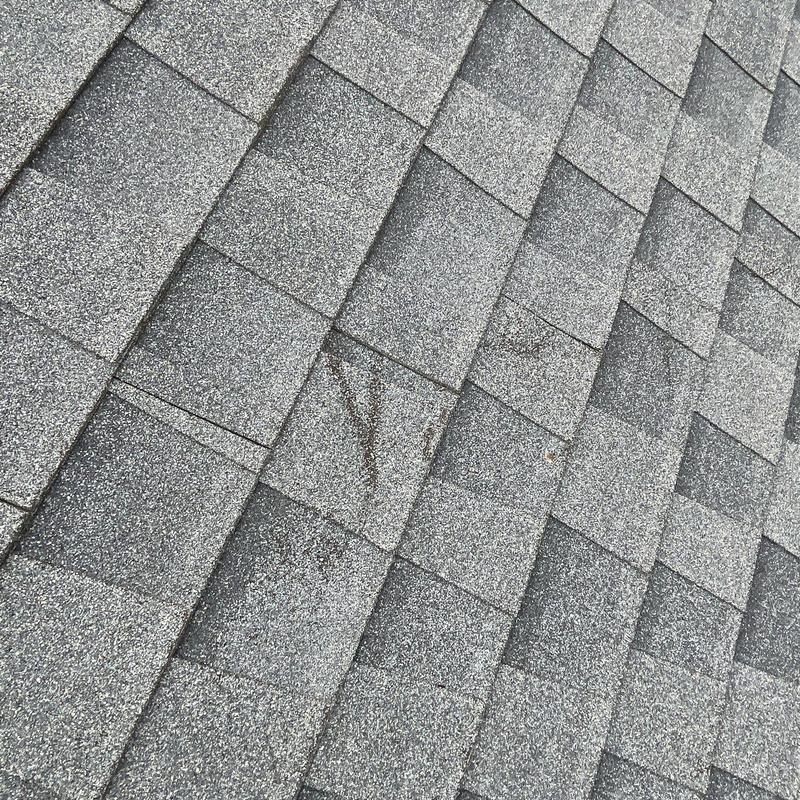 Hail-damaged asphalt roof shingles with wear marks