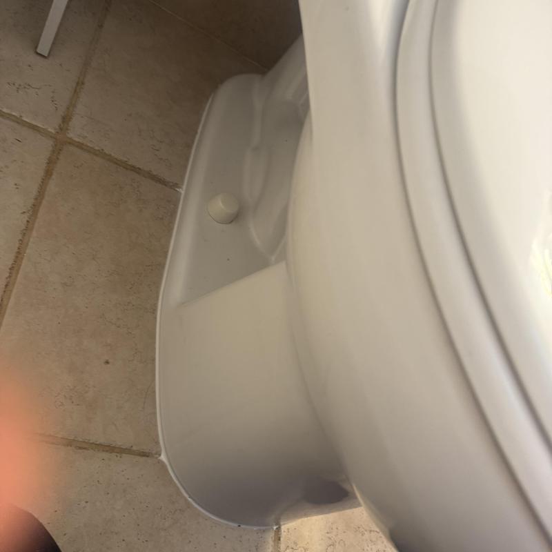 Toilet base with new wax ring and caulking seal