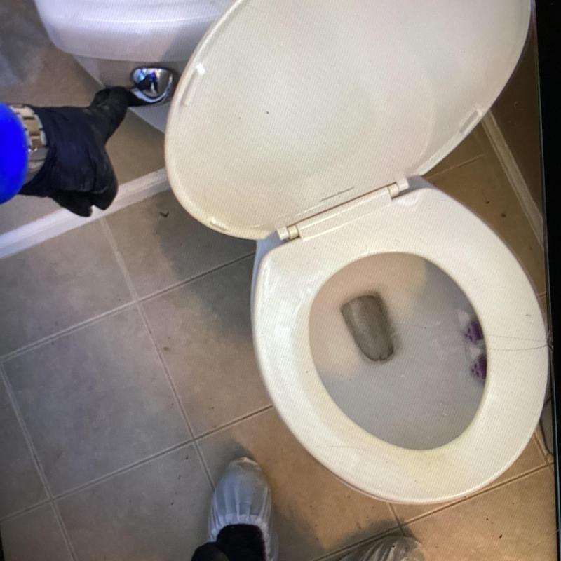 Toilet flush handle inspection in bathroom