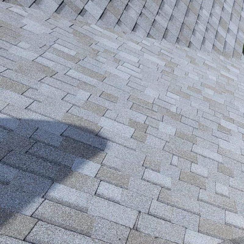 Shingle roof hip cap and field shingles fastened