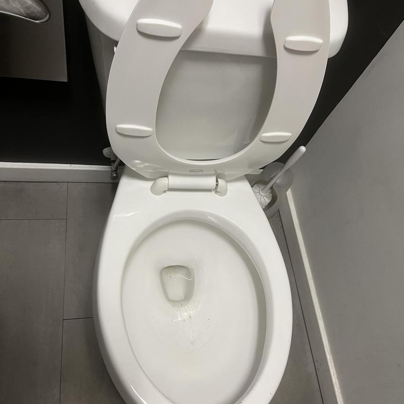 Toilet bowl cleared of keys and reset with new hardware Toilet bowl cleared of keys and reset with new hardware