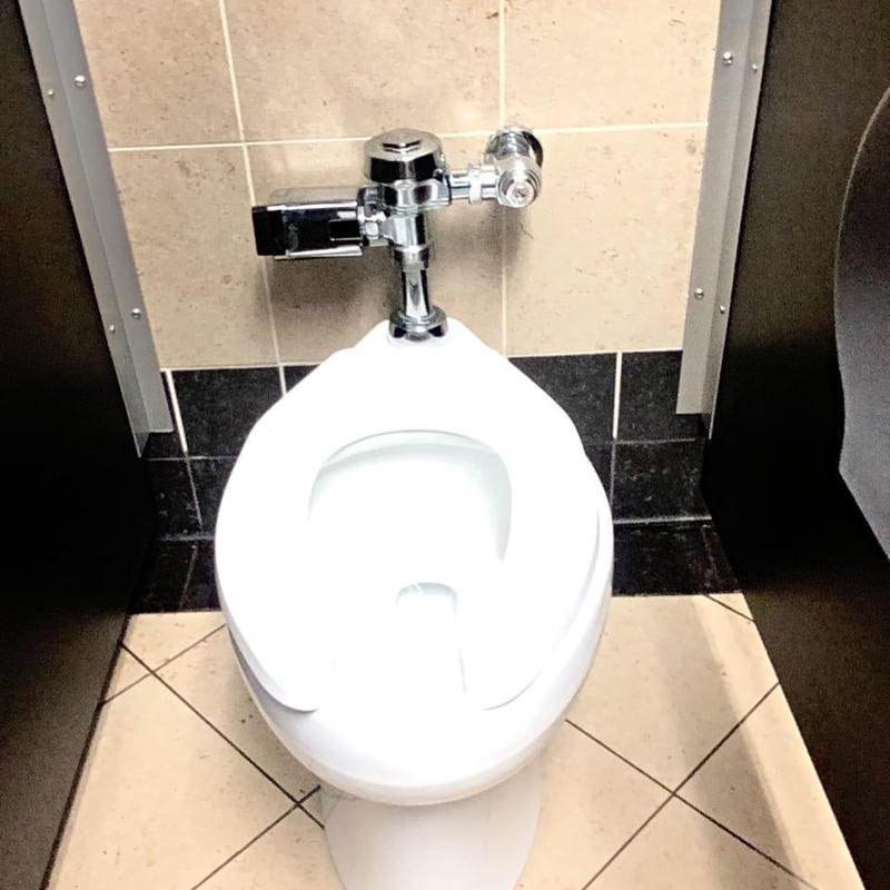 Toilet flush valve and bowl in restroom stall