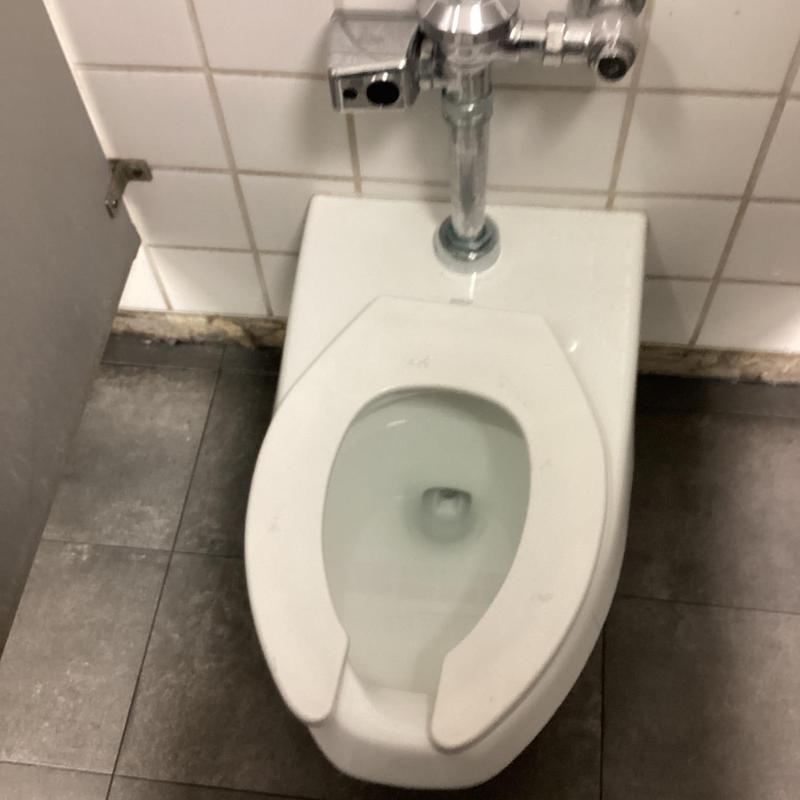 Zurn flush valve and commercial toilet in restroom