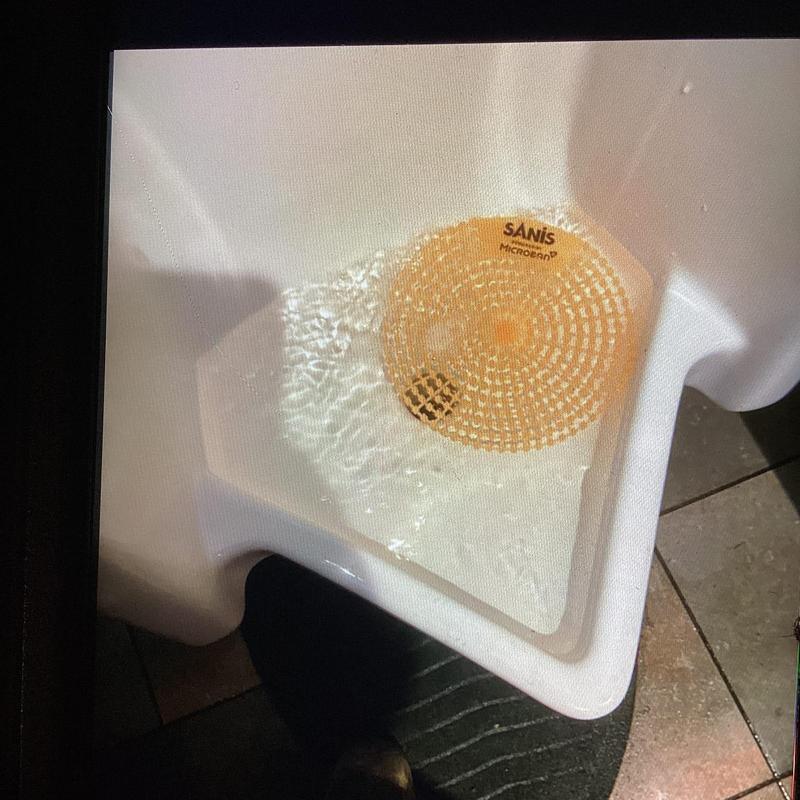 Urinal drain with water flow and screen cover
