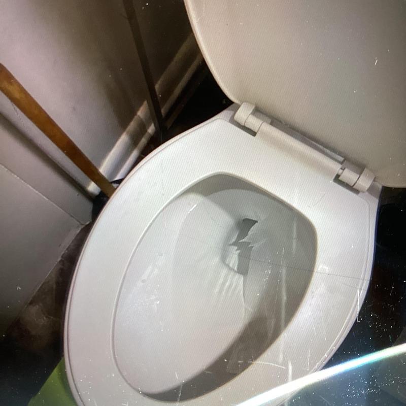 Toilet bowl with open lid in bathroom corner