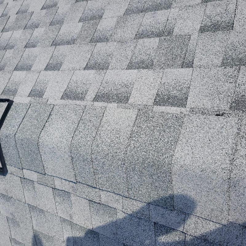 Shingle roof with repaired damaged section in Cape Coral