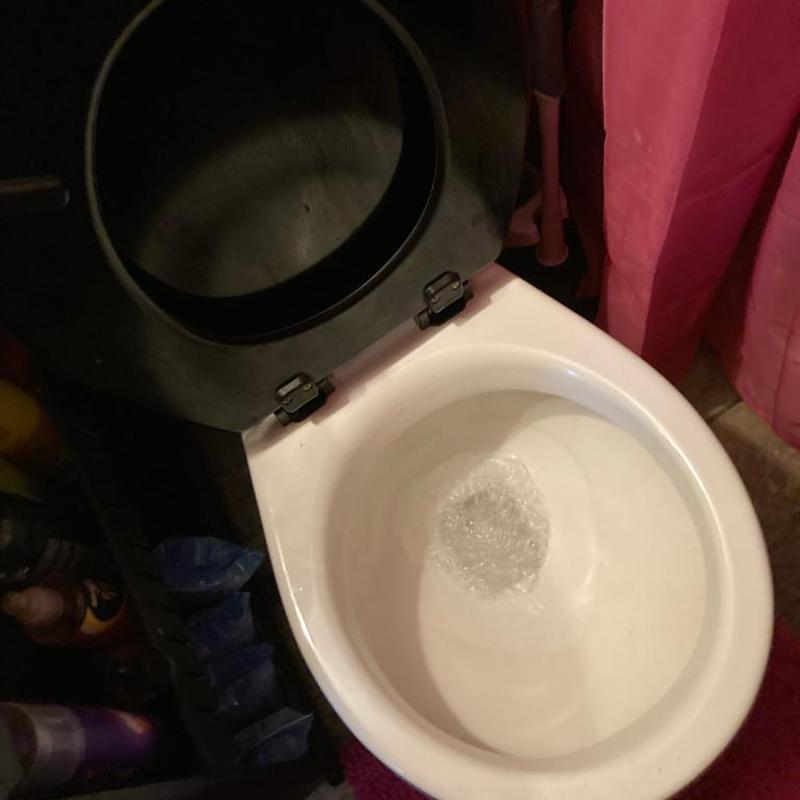 Toilet bowl flushing with adjusted water level Toilet bowl flushing with adjusted water level