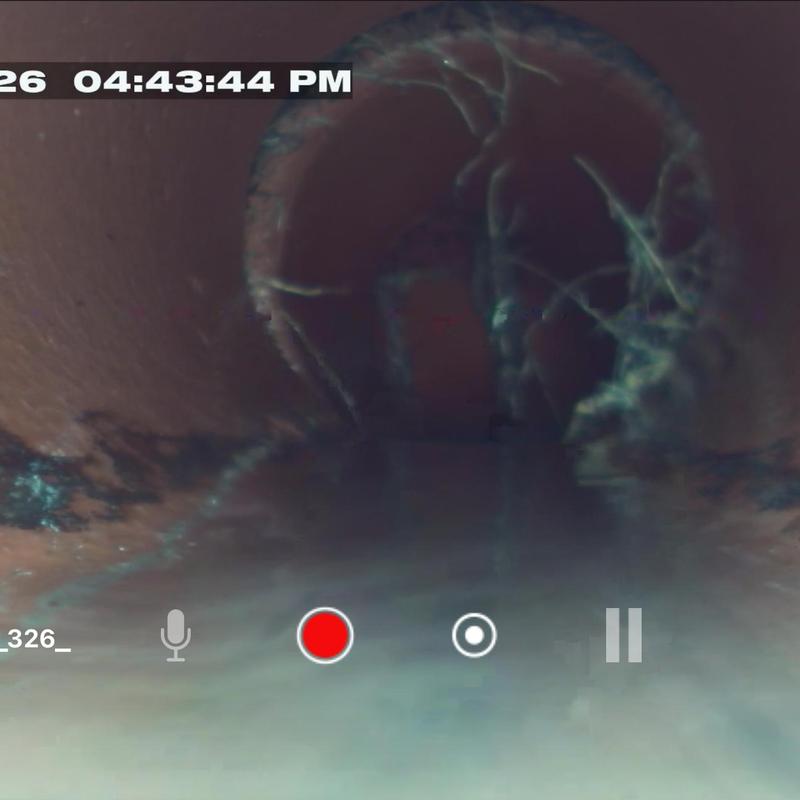 Sewer line with root intrusion and standing water