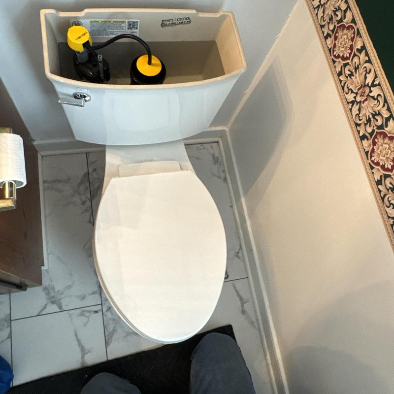 Kohler toilet tank with flushing mechanism reset