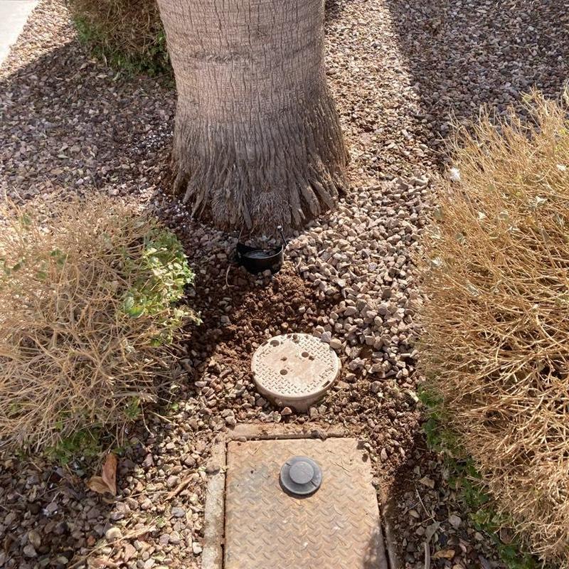 Pressure regulating valve with access box near tree base