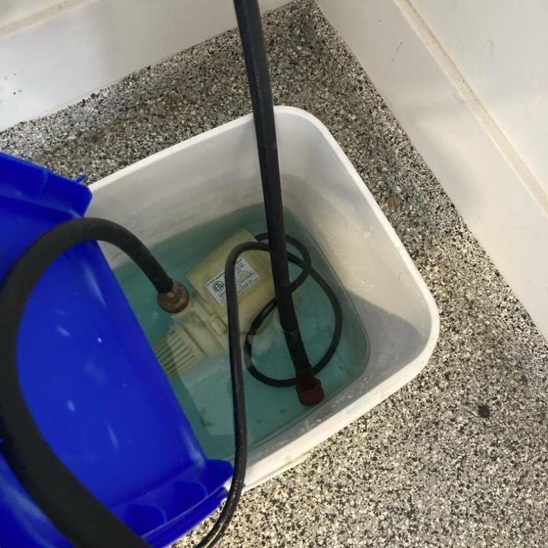 Tankless water heater flushing pump in bucket