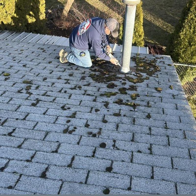 Roof shingles moss removal near vent pipe on roof