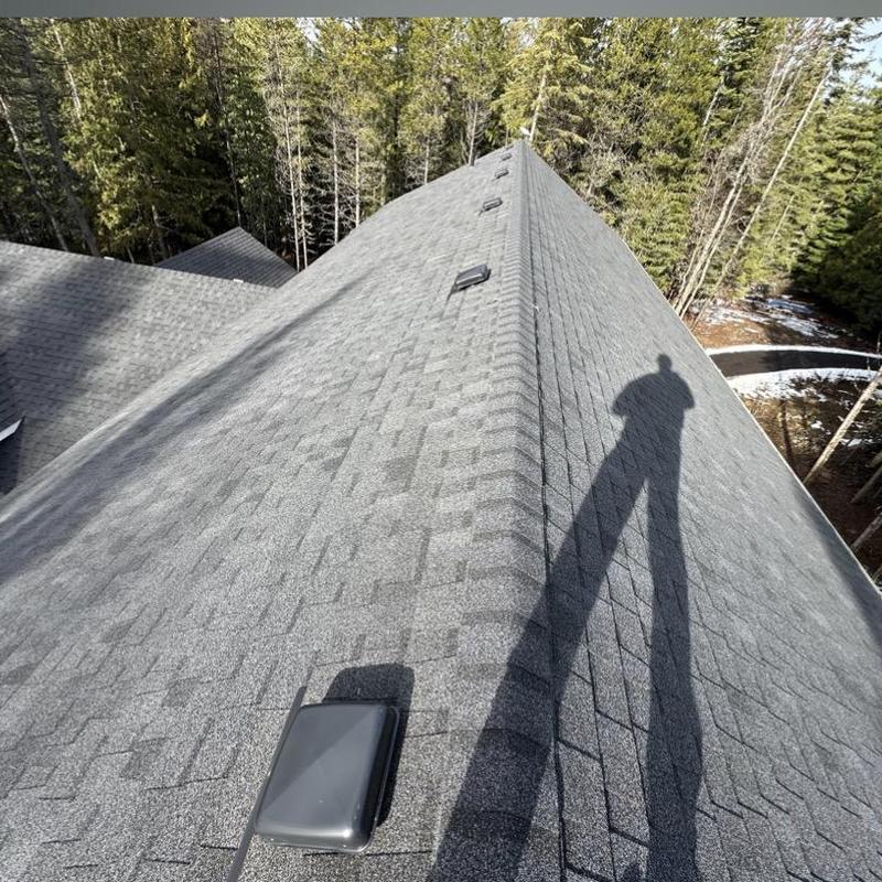 Roof ridge vents on shingle roof with shadow visible