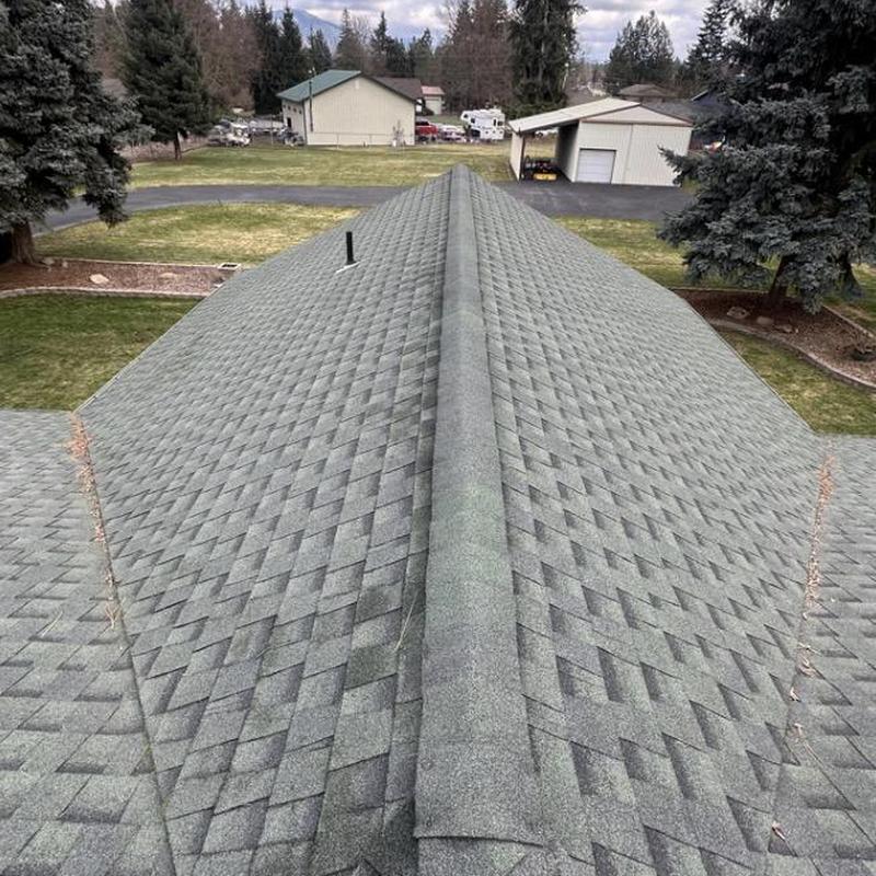 Asphalt shingle roof ridge with moss-free shingles