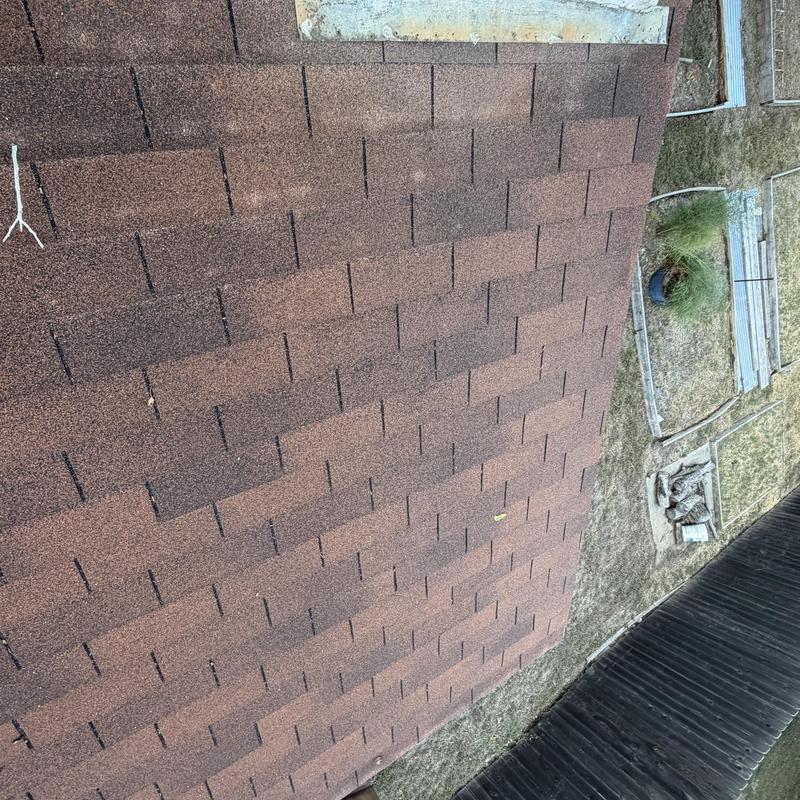 Asphalt shingle roof close-up with garden view