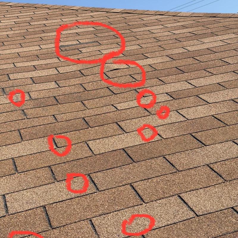 Asphalt shingles with damage marked in red circles on roof