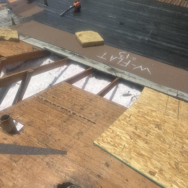 Roof decking replacement with exposed joists and plywood panels