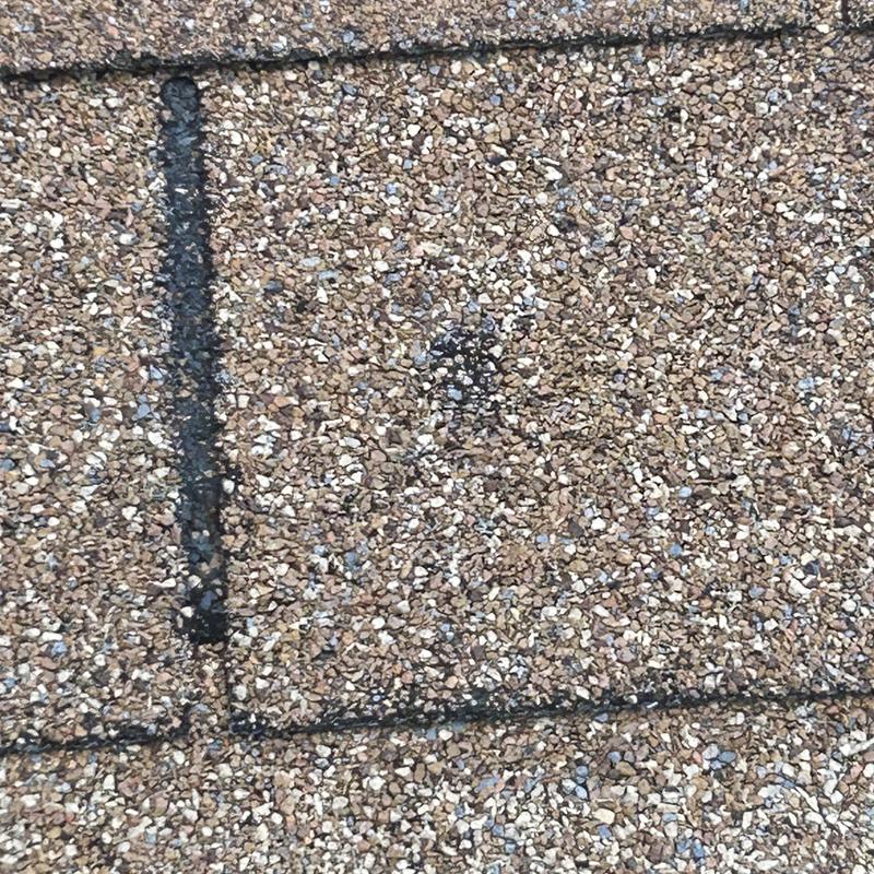 Roof shingles with marked hail damage in Fort Worth