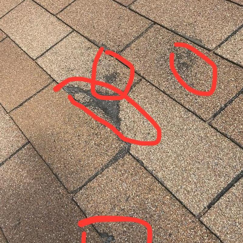 Asphalt roof shingles with hail damage circled in red