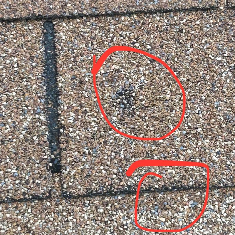 Asphalt shingle roof with hail damage marked in red