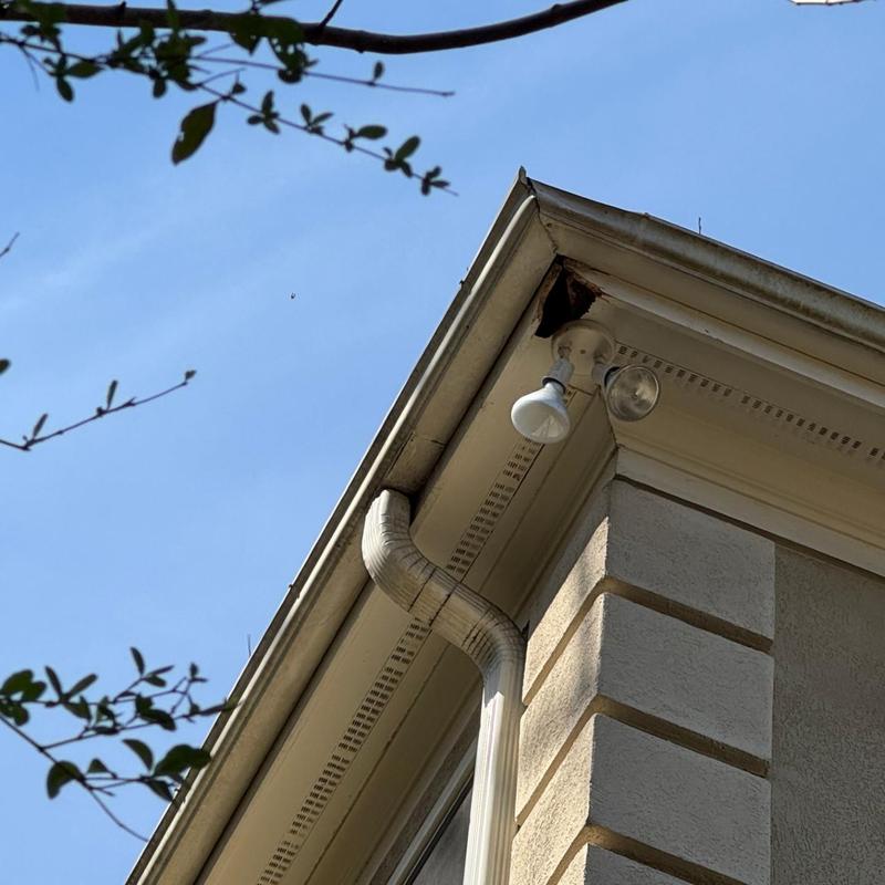 Soffit and fascia with light fixture and downspout