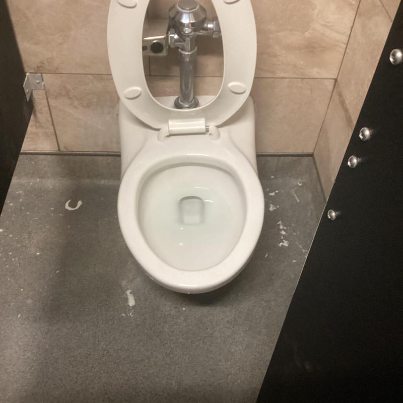 Commercial toilet with flush valve in restroom stall