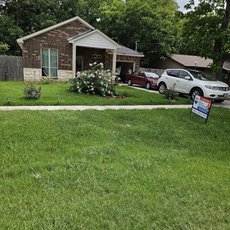 Residential shingle roof with hail damage in Terrell, TX