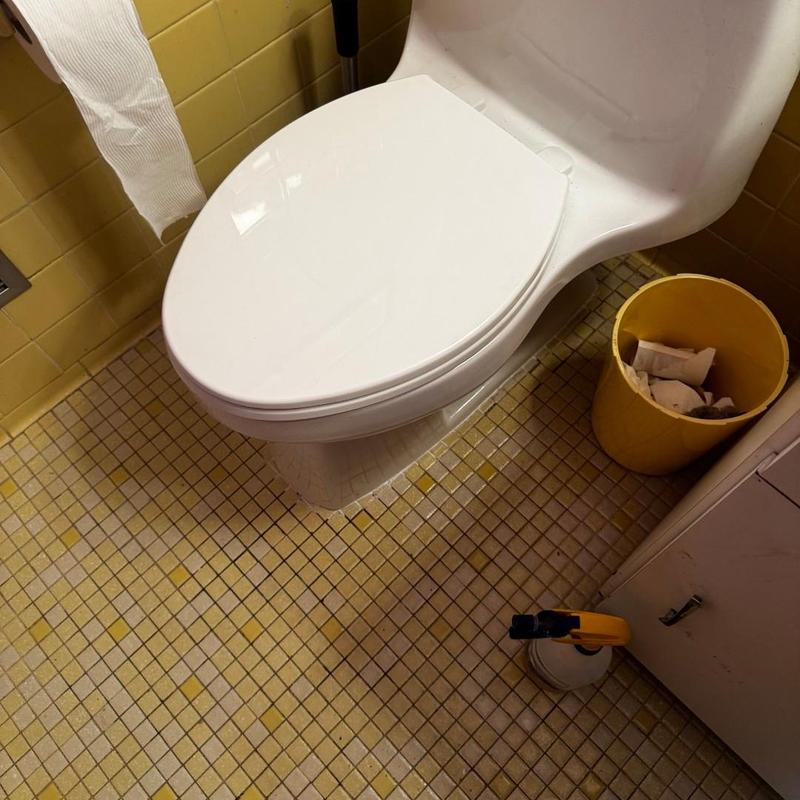 Toilet flange replacement and new PVC piping installation