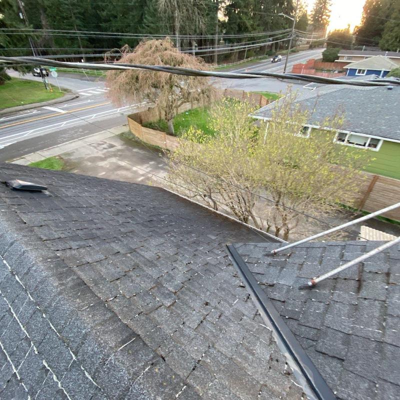 Roof shingles with moss removal tools on residential roof