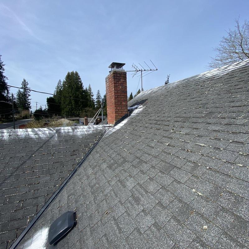 Asphalt roof shingles with moss removal and cleaning