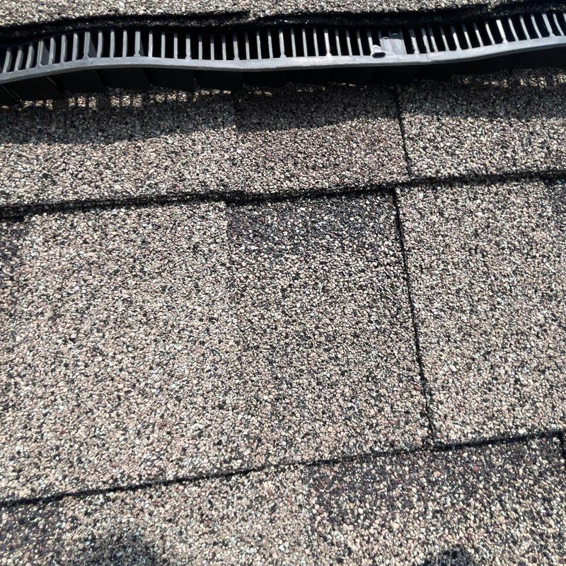 Asphalt shingles with granule loss and hail damage