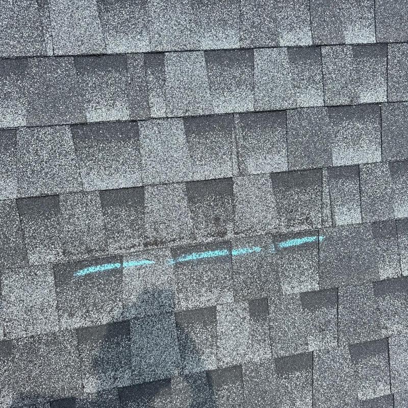 Architectural shingles with hail damage and markings