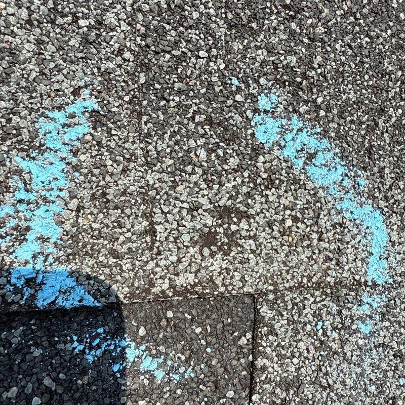 Asphalt roof shingles with hail damage marked in blue