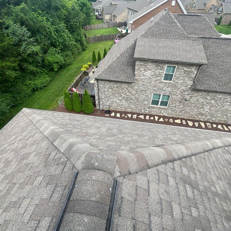 Roof shingles with hail damage and granule loss inspection