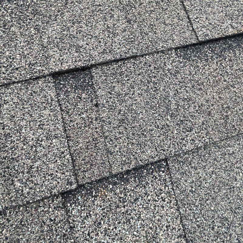 Architectural roof shingles with hail damage and granule loss