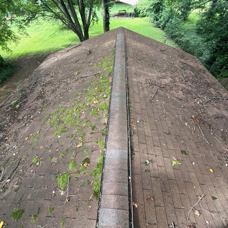 Asphalt shingle roof with moss and debris buildup