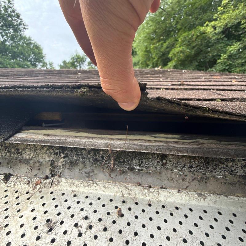 Asphalt shingles lifted to show water damage on roof edge