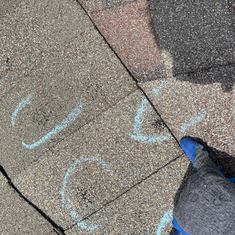 Roof shingles with hail damage marked in blue chalk