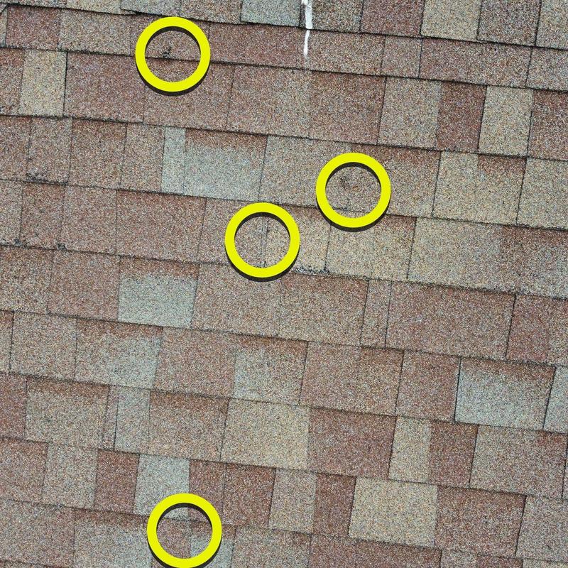 Asphalt shingles with hail damage marked in yellow circles