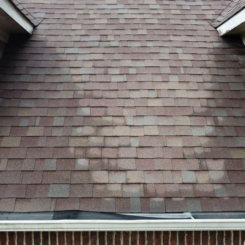 Roof shingles with hail damage and granule loss