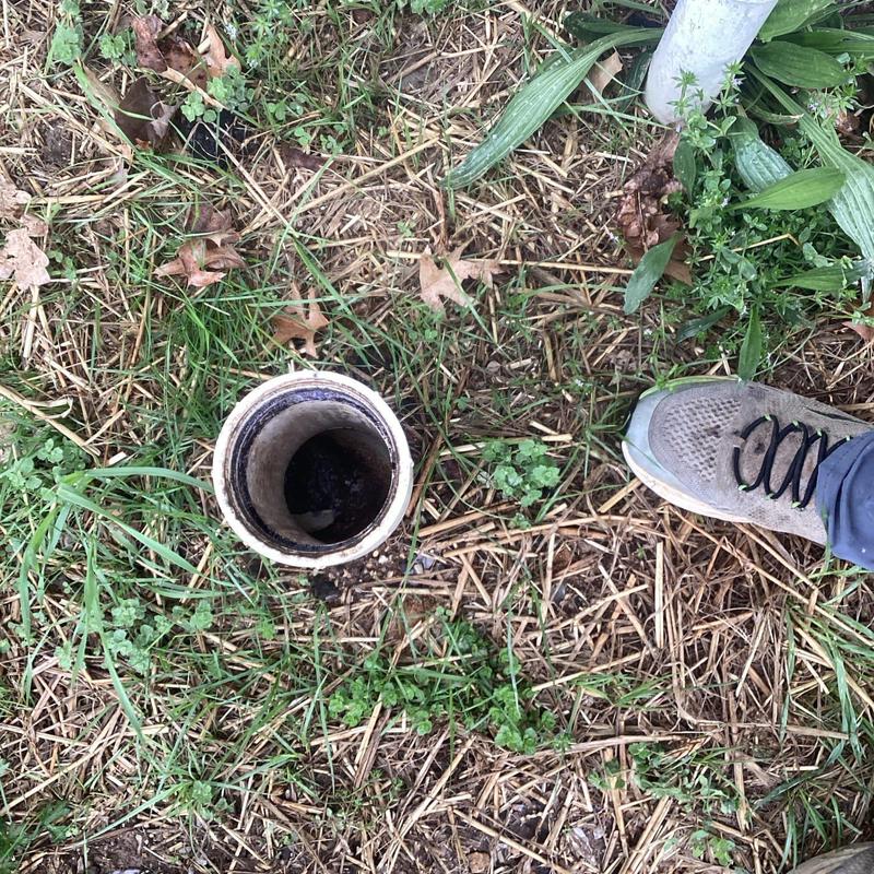 Sewer cleanout pipe opening in grassy ground